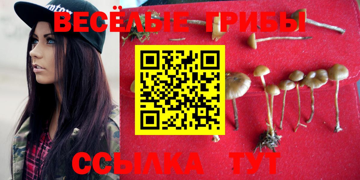 Псилоцибиновые грибы GOLDEN TEACHER Славянск-на-Кубани