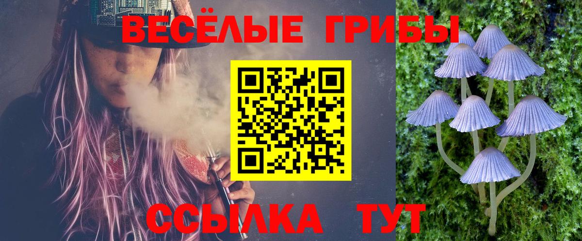 Славянск-на-Кубани  Псилоцибиновые грибы Magic Shrooms  Вход с VPN 